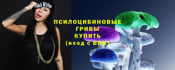МДПВ Сатка