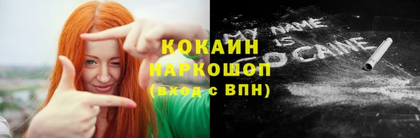 прущие грибы Богородск
