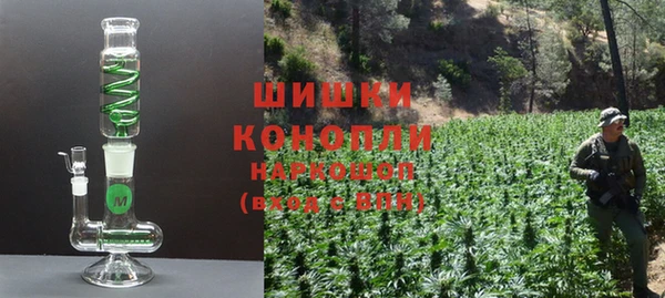 прущие грибы Богородск